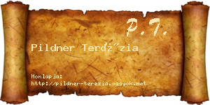 Pildner Terézia névjegykártya